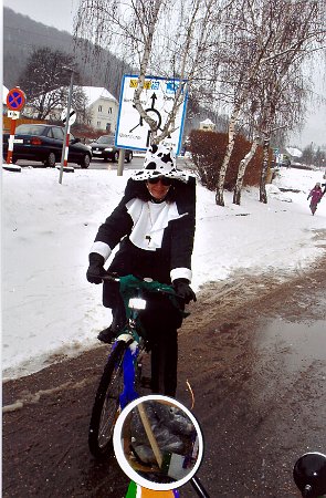 Faschingsumzug_2006_048.jpg
