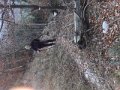 20171021_134939