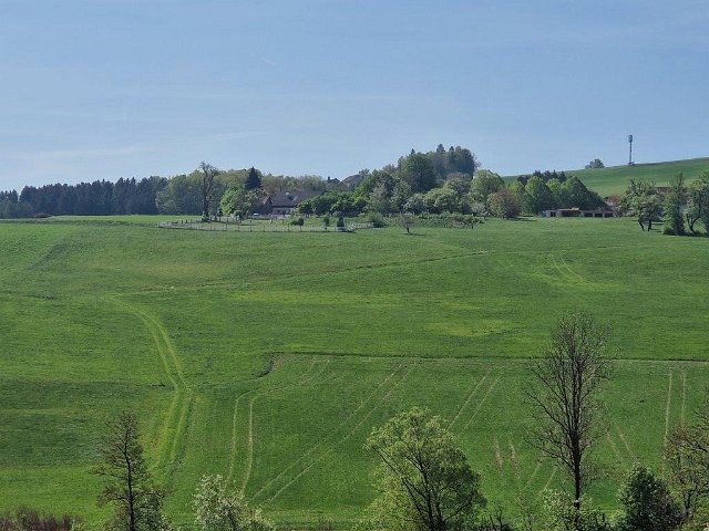 20260426_102557.jpg